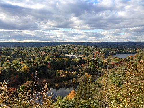 A view of the woods around New Haven seen from atop East Rock.