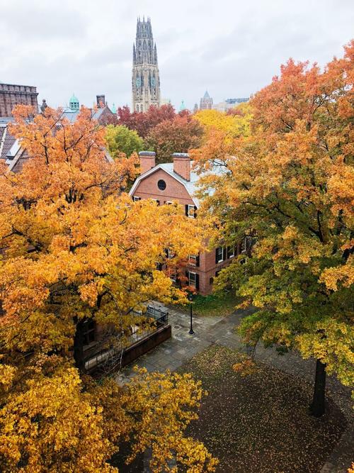 Harkness in the Fall