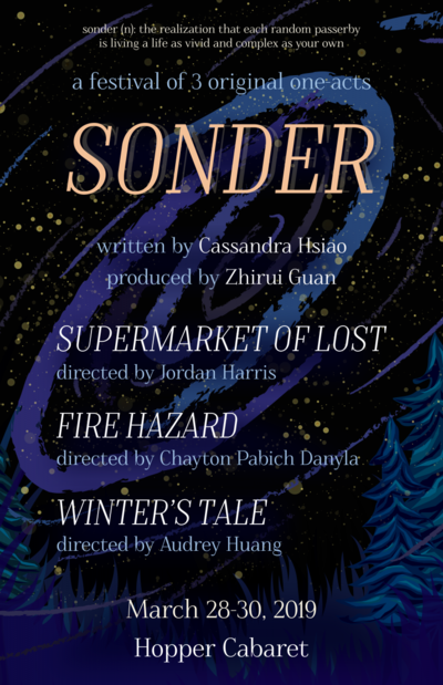 Poster for Sonder