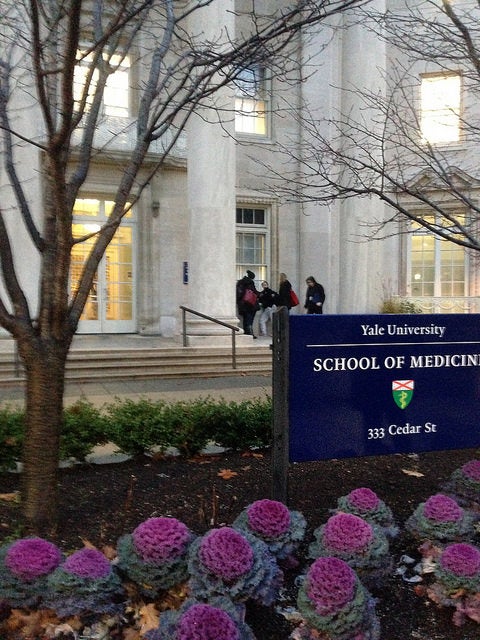 The Yale School of Medicine entrance.