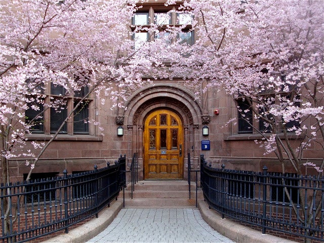 The entrance to Vanderbilt Hall during spring, framed by blooming two cherry blossom trees.