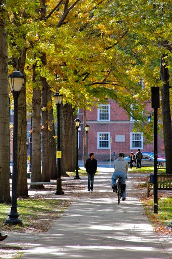 Pedestrians walk and ride bikes down a path lined with trees in New Haven.