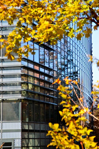 a building with a glass exterior reflects the sky and autumn leaves.