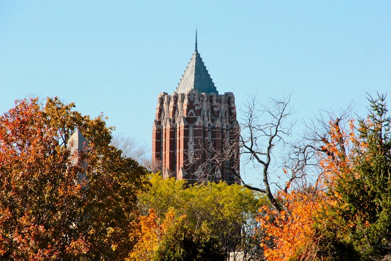 The tower at the Hall of Graduate studies visible above the treetops.