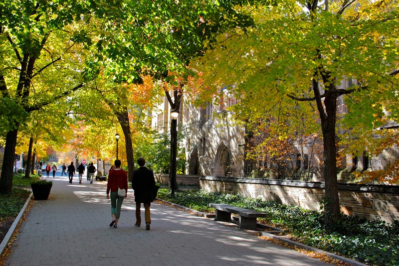 Pedestrians walk down a shady path on Campus.
