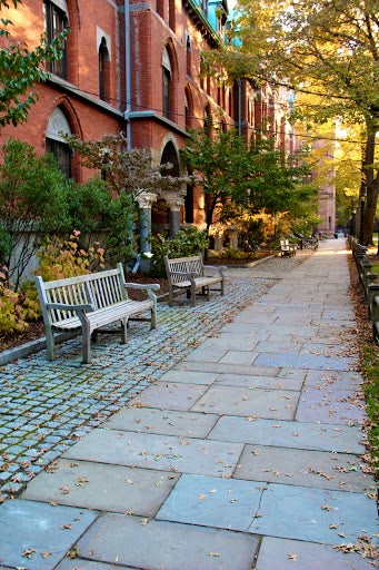 Fallen leaves cover the cobblestone path outside of a campus building.