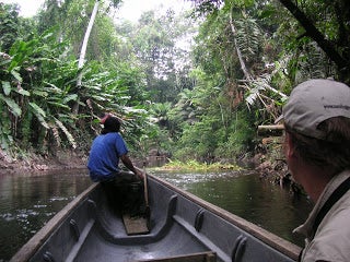 The view from the back of a canoe heading downriver.