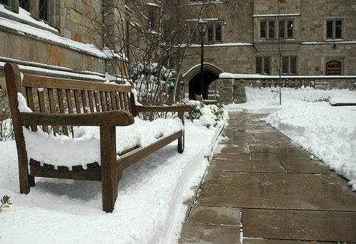 A bench in the Saybrook courtyard covered with serval inches of snow.