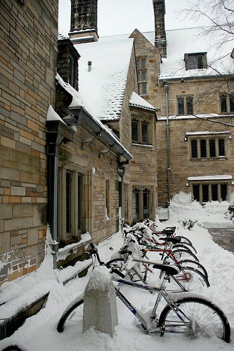 Bikes on a rack covered with snow in the Branford College courtyard.