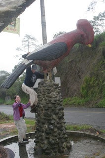 a student climbing the base of a large bird statue.