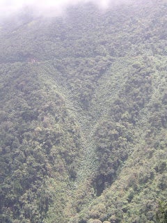 An aerial view of a jungle landscape that resembles a giant letter Y.
