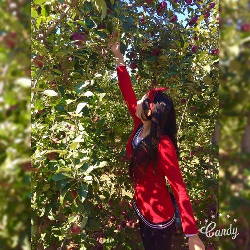 Cassandra picking apples