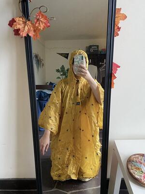 Cassandra in a poncho