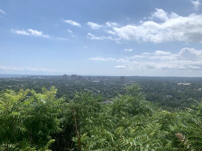 view overlooking New Haven
