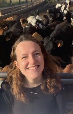 girl in front of cows