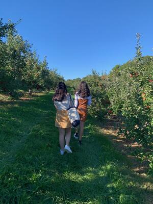 2 Friends walking down a row between apple trees