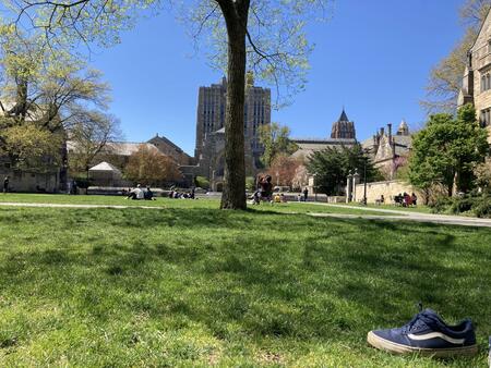 Picture of people sitting on cross campus with tree cutting through the image and a shoe in the corner