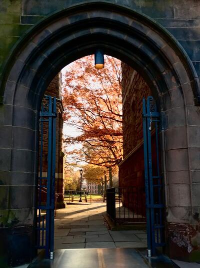 entrance to old campus with fall trees