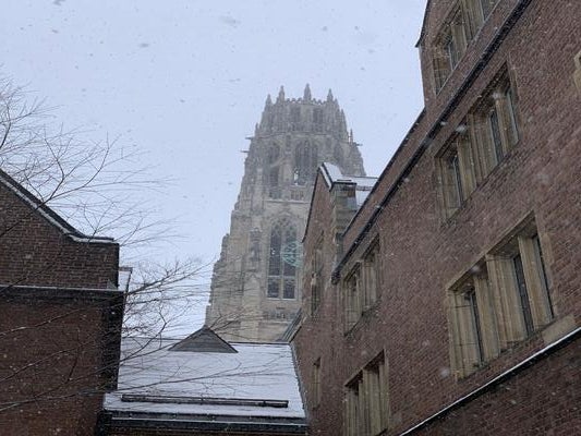 snowy harkness 