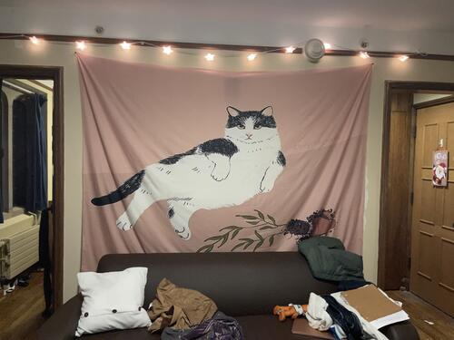 tapestry with a chubby black and white cat with a pink background