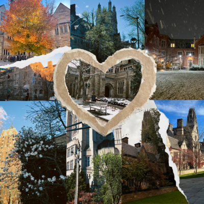 Yale during the various seasons