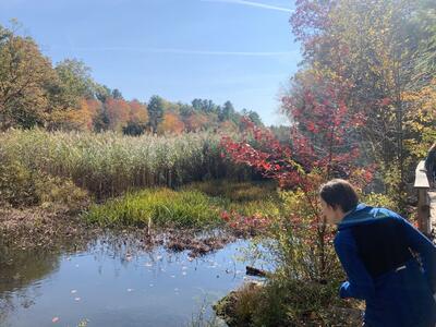 Person looking at fall pond