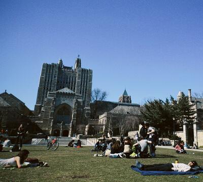 Group of students on grass outside Sterling Memorial Library