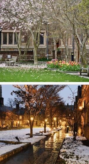 collage of the courtyard covered in snow and in the beginning of spring