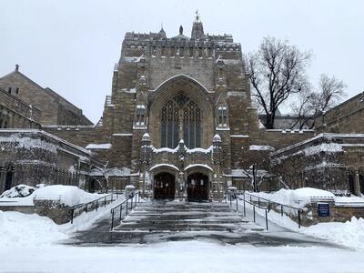 snowy sterling library