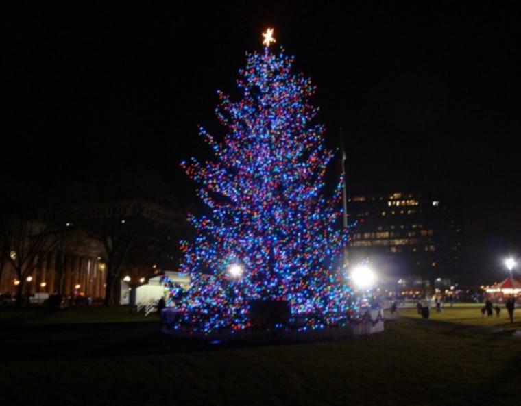 An enormous Christmas tree brightens the New Haven Green at night.