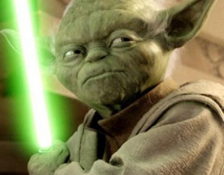 Yoda, from the "Star Wars" Series.