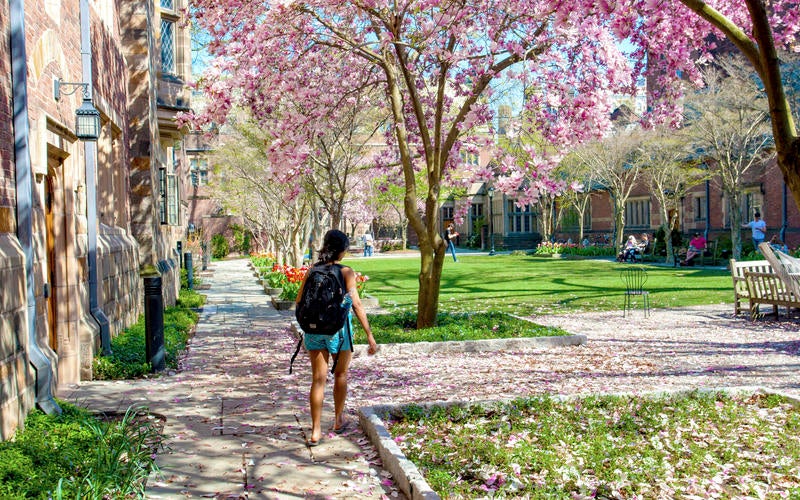 A student walks through the Jonathan Edwards College courtyard in spring