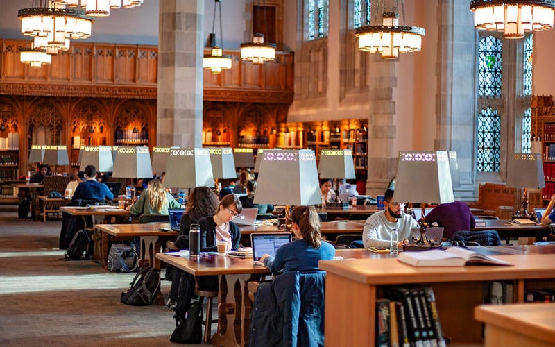 students study in the library