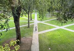 Pathways on campus