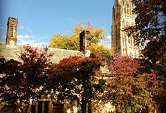 The Yale campus in autumn.