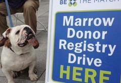"Handsome Dan" on greeting duty at the Marrow Donor Registry Drive.