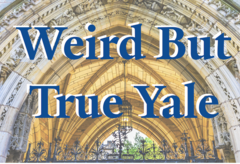 Weird but True Yale