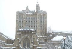 Sterling Memorial Library with a coat of snow.